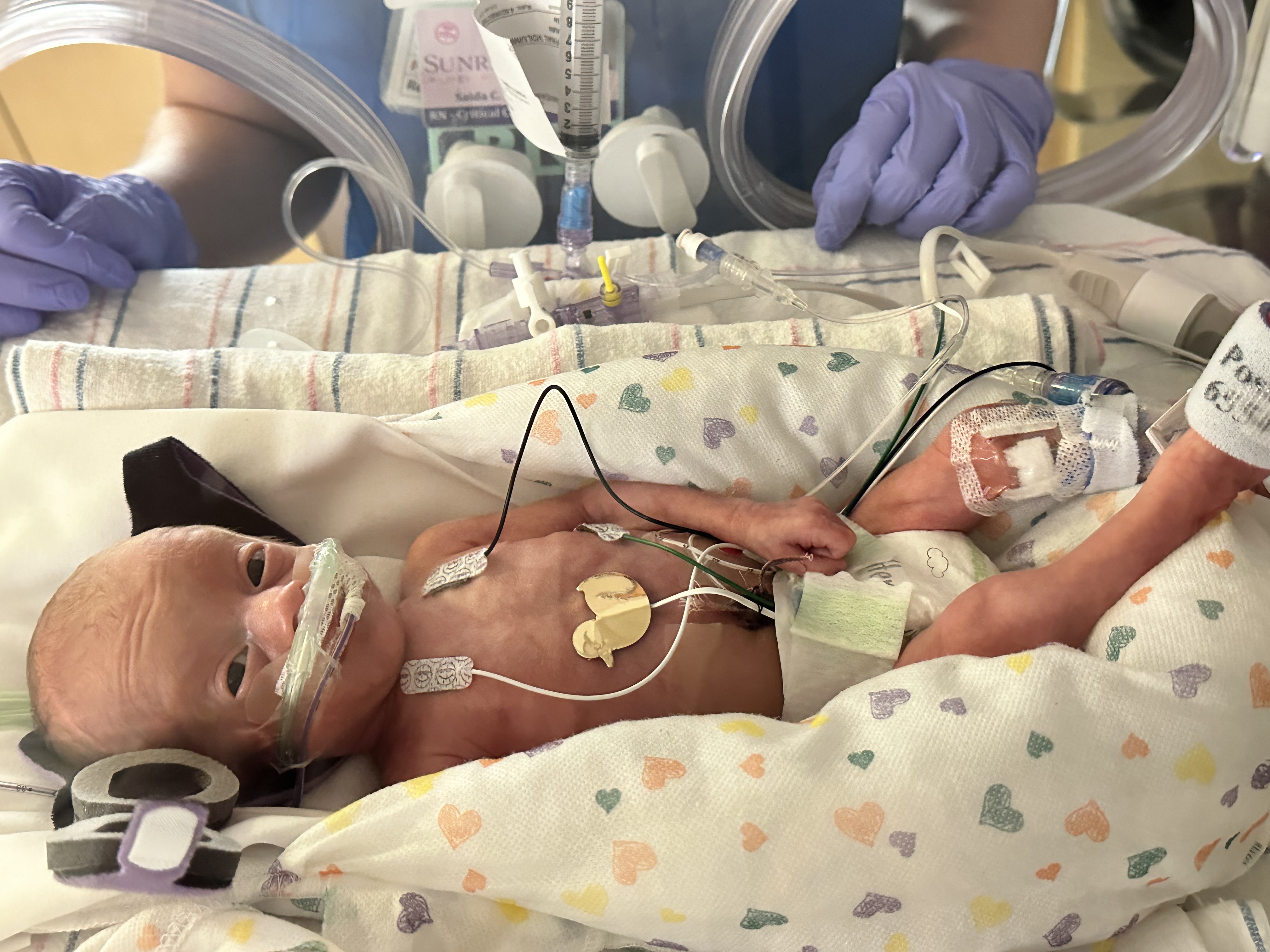 Dear Tennessee Grace